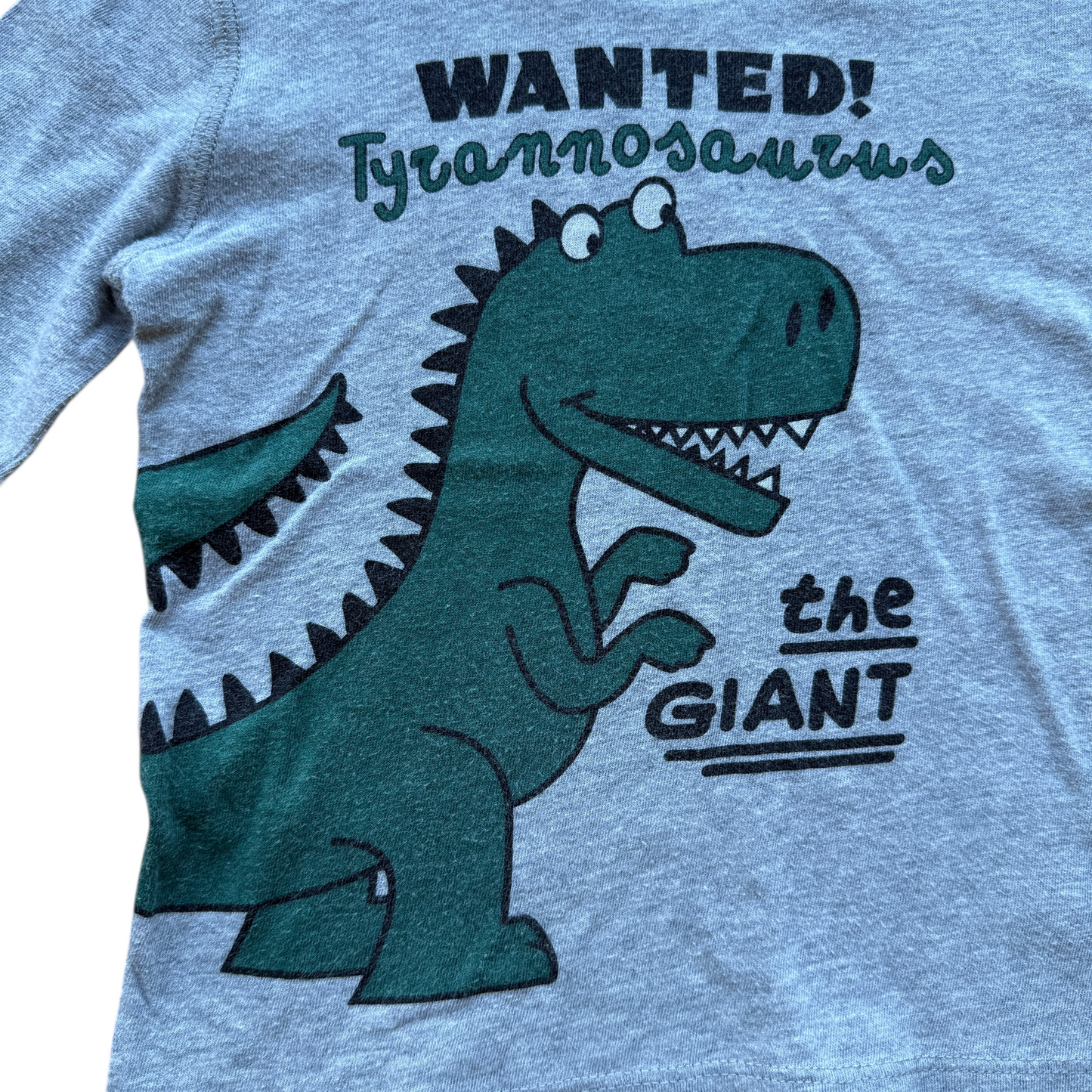 Maglia manica lunga Tyrannosaurus Dolce&Gabbana - 12/18 mesi