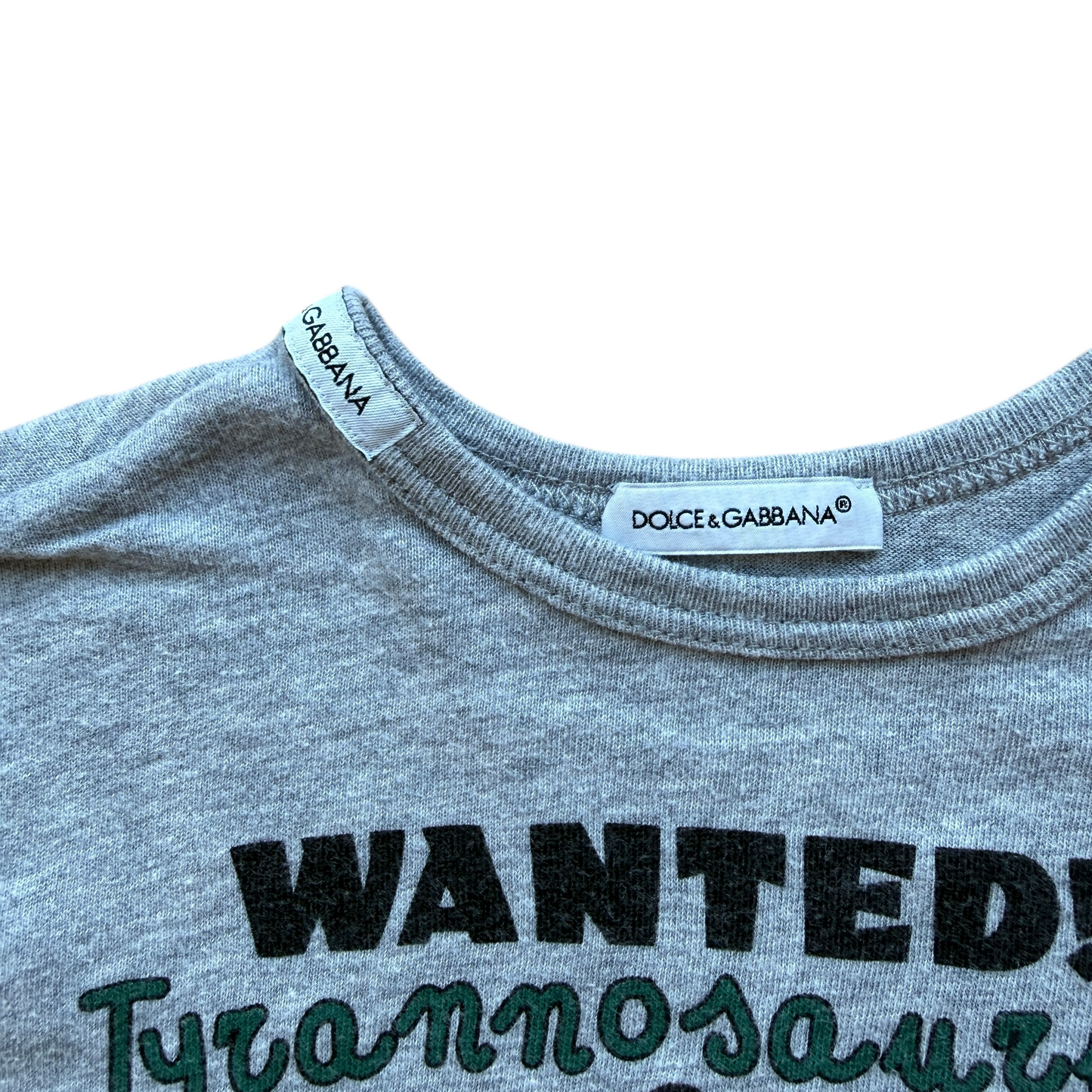 Maglia manica lunga Tyrannosaurus Dolce&Gabbana - 12/18 mesi