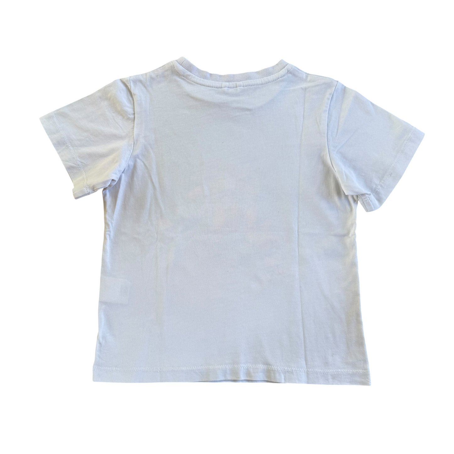 T-shirt iguana Stella McCartney - 4 anni