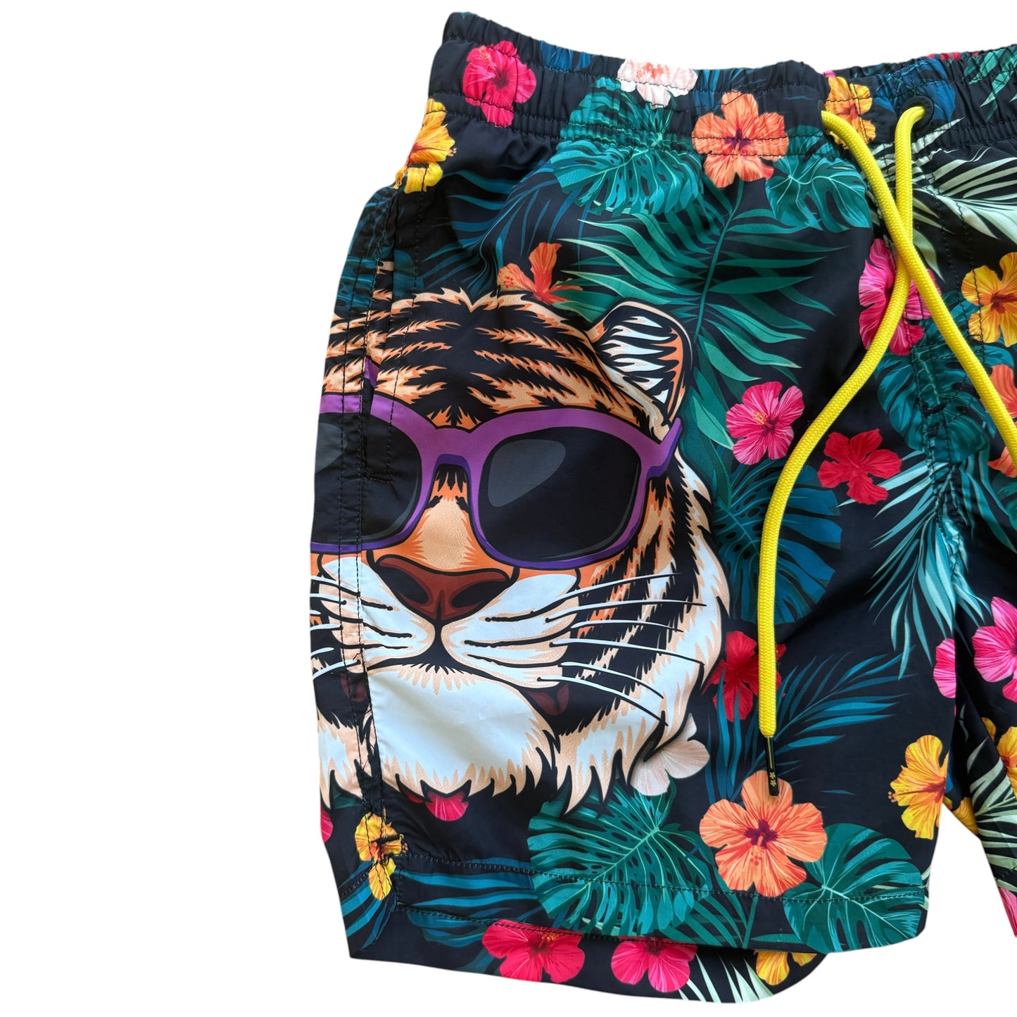 Boxer mare tigre F**K - 8 anni