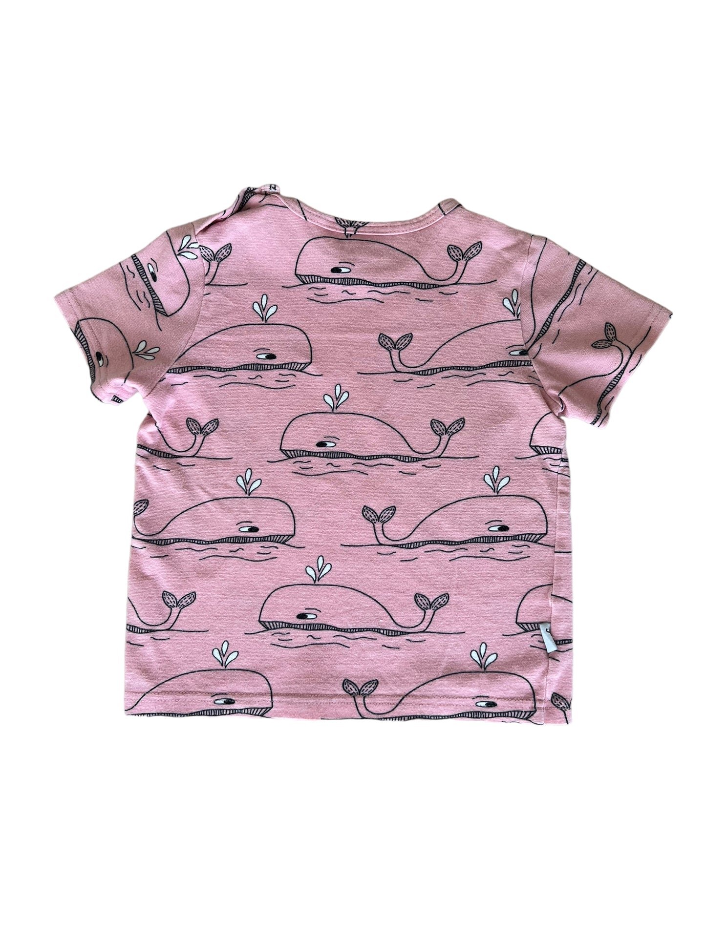 T-shirt JNY organic cotton - 18/24 mesi